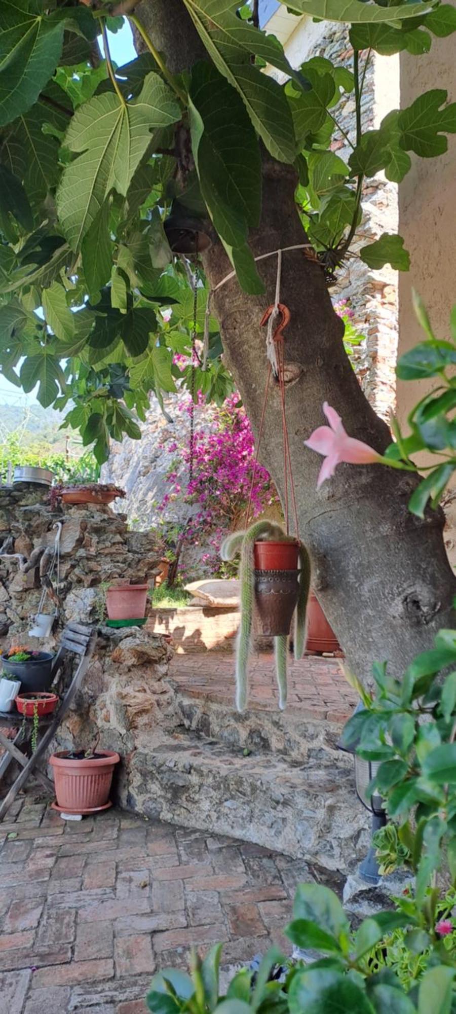 B&B L' Antica Macina Quiliano Exterior photo