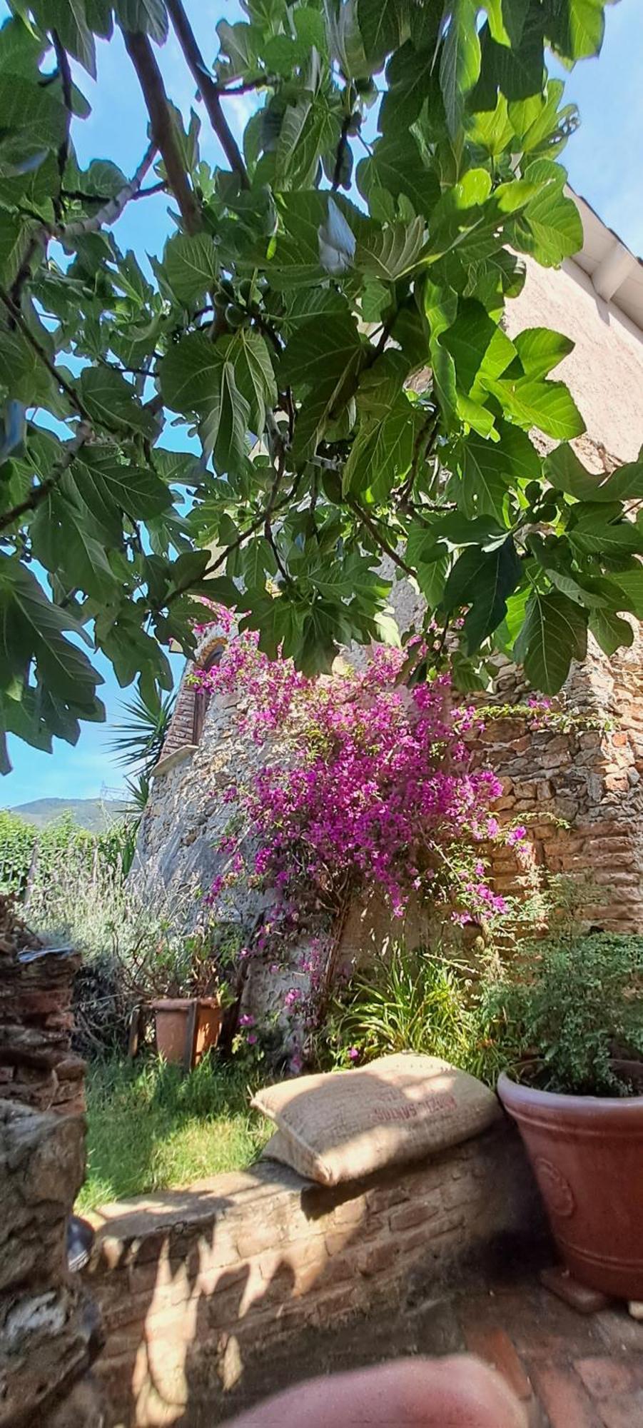 B&B L' Antica Macina Quiliano Exterior photo
